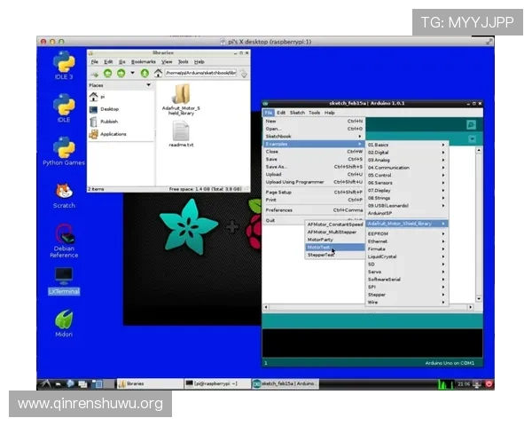 斗球官网进不去的常见原因及快速解决方案指南